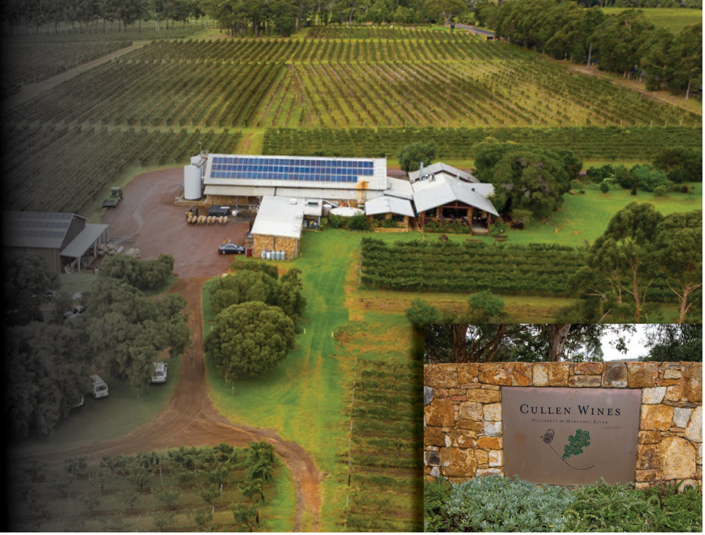 Cullen Wines
